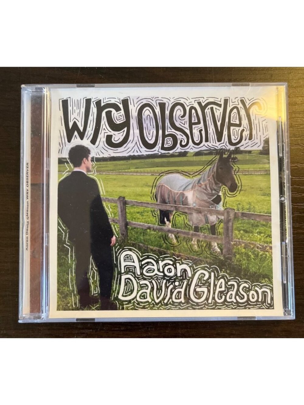 3 For $6 Aaron David Gleason : Wry Observer (CD, 2017) Music